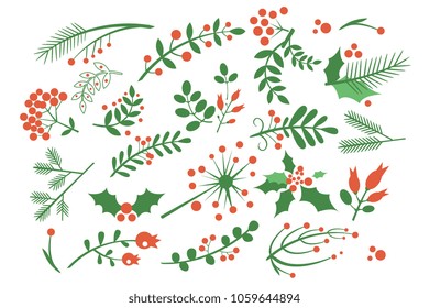 Set of red rowan berries, branches of fir, green leaves and other blossoming plants. Natural decorative elements for postcards. Isolated flat vector design