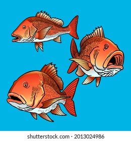 set of red snapper fish for gamefish bundle collection