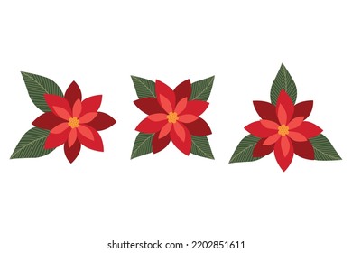 Set Red Star Christmas Flower poinsettia. vector illustration