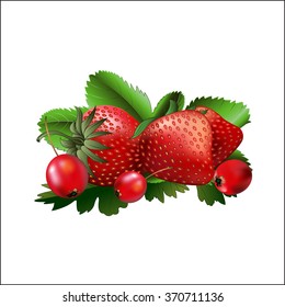 Set from red strawberry and a hawthorn. Vector illustration.
