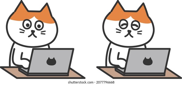 Set of red tabby and white cat working with a laptop computer. Vector illustration isolated on white background.