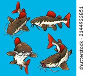 Set of red tail catfish for Premium Vector pack