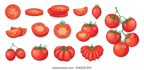 Conjunto de tomates rojos en estilo de dibujos animados. Ilustración vectorial de tomates frescos y sabrosos, enteros, mitades, rebanadas, ramas, tomates cherry, con semillas, subgrupos, aislados sobre fondo blanco. Verduras útiles.