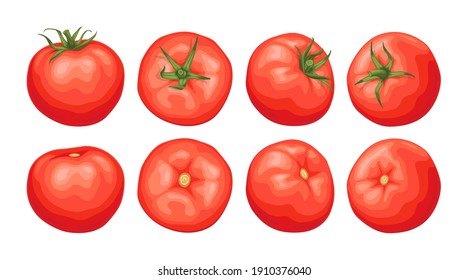 Set of red tomatoes. Fresh juicy tomatoes with a green sprig, top view, side view.