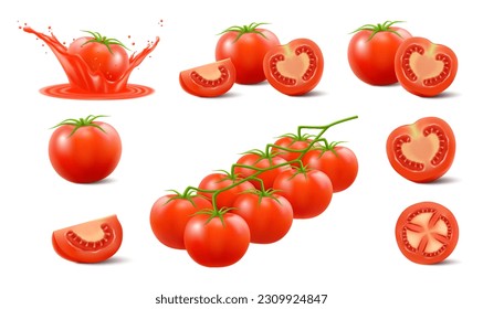 Set of red tomatoes isolated on white background. Realistic 3d Vector illustration. Whole, half and slice, branch of red cherry tomatoes. Ripe tomato in red juicy splash. Fresh vegetables