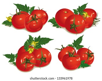 set of red tomatoes with leaves and flowers