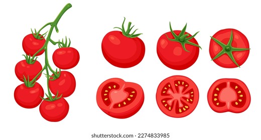 set of red tomatoes on a white background