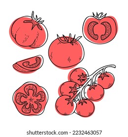 Rote Tomaten-Skizze setzen. Versammle reife Gemüse aus dem Garten. Doodle-Zeichnen pflanzlicher Produkte. Geschnittene Tomate, Kirschzweig. Handgezeichnete Vektorgrafik.