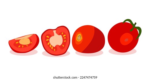 A set of red tomatoes. Vector illustration . Slice a tomato, slice a tomato. Cartoon vegetable set of elements isolated on a white background.