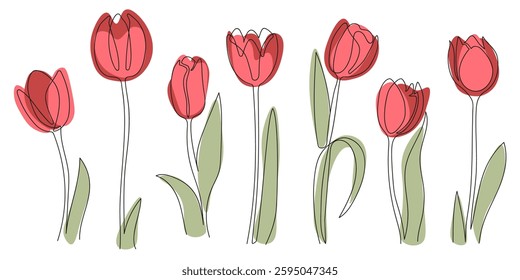 Set of red tulip flowers drawn by one black line. Hand drawing vector illustration