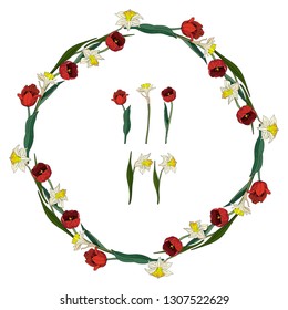 Set with red tulips and daffodils on white background. Round frame and isolated objects for your design