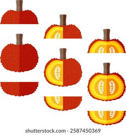 Set of Red Warty Thing Pumpkin. Winter squash. Cucurbita maxima. Vegetables. Flat style. Isolated vector illustration.