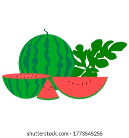 Conjunto de melón de agua roja con hojas sobre fondo blanco, ilustración vectorial 