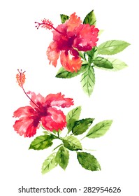 Set of red watercolor hibiscus flowers