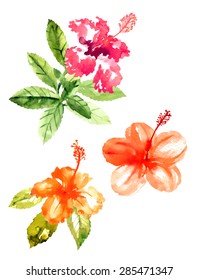 Set of red watercolor hibiscus flowers