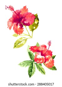 Set of red watercolor hibiscus flowers