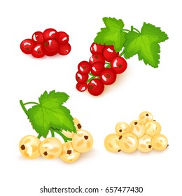 Set of red and white currant. White and red berries Branch and green leaves. Ripe white currant berries. Vector card illustration for design tea, ice cream, health care products, detox diet.