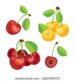 Conjunto de cereza roja y amarilla. Simple cereza. Diseño de colección de frutas tropicales para el interior, cartel, Anuncio. Ilustración vectorial. 