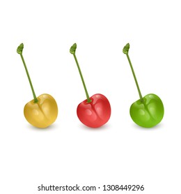 Set of red, yellow and green cherry berries isolated on white background. Vector illustration