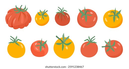 Set of red and yellow ripe tomatoes with green tails of different shapes and sizes on white isolated background. Cute vector illustration of vegetables drawn by hand in simple style.