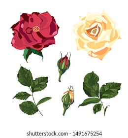 Set of red yellow rose flower and green leaves plant herb spring flora isolated on white background. Botanical decorative vector hand drawn illustration for wedding invitation card