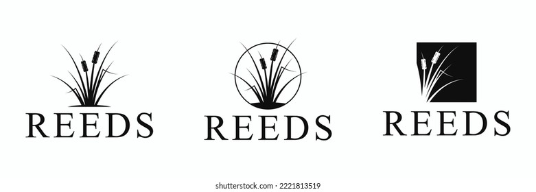 set of  reeds vintage logo vector illustration design.