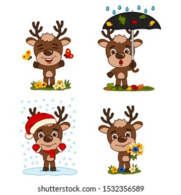 Set of reindeer in different seasons - summer, autumn, winter, spring - isolated on white background