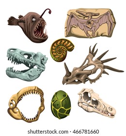 The set of remains of prehistoric animals. Fish, and reptiles. Vector illustration.
