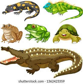 Set of reptile animal illustration