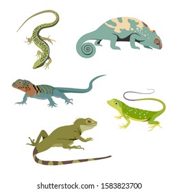 Set of reptile realistic flat vector illustration. Lizard,  chameleon, gecko, monitor, skink, iguana stickers.