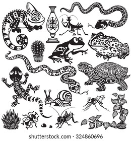 set with reptiles, amphibians and insect . Cartoon animals of terrarium . Black and white images