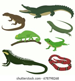 Set of reptiles and amphibians isolated on white background.