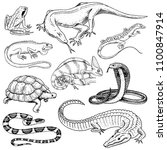 Set of reptiles and amphibians. Wild Crocodile, alligator and snakes, monitor lizard, chameleon and turtle. Pet and tropical animal. Engraved hand drawn in old vintage sketch. Vector illustration.