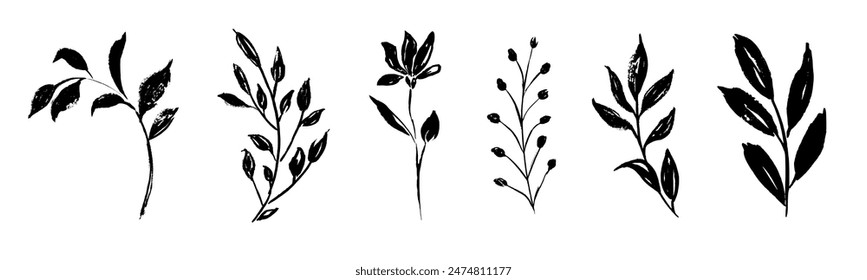 Set of retro branches and leaves. Silhouettes of hand drawn artistic field herbs in black ink. Vintage botanical florals.