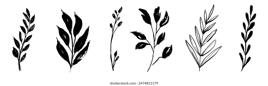 Set of retro branches and leaves. Silhouettes of hand drawn artistic field herbs in black ink. Vintage botanical florals.