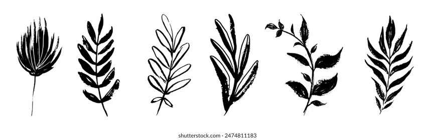 Set of retro branches and leaves. Silhouettes of hand drawn artistic field herbs in black ink. Vintage botanical florals.