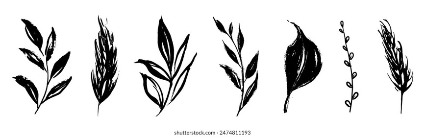 Set of retro branches and leaves. Silhouettes of hand drawn artistic field herbs in black ink. Vintage botanical florals.