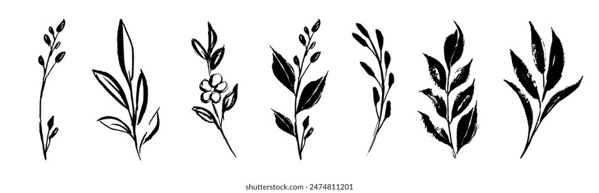 Set of retro branches and leaves. Silhouettes of hand drawn artistic field herbs in black ink. Vintage botanical florals.