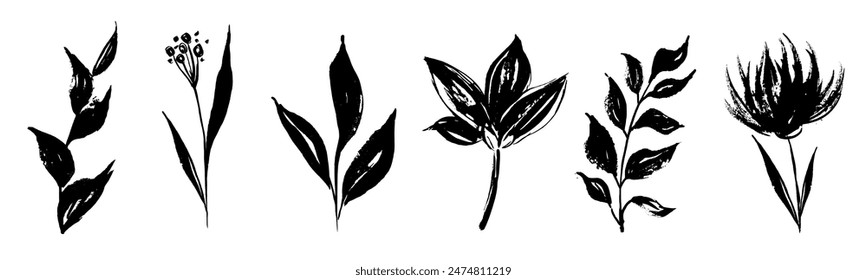 Conjunto de ramas y hojas retro. Siluetas de hierbas de campo artístico dibujadas a mano en tinta negra. Flores botánicas de Antiguas.