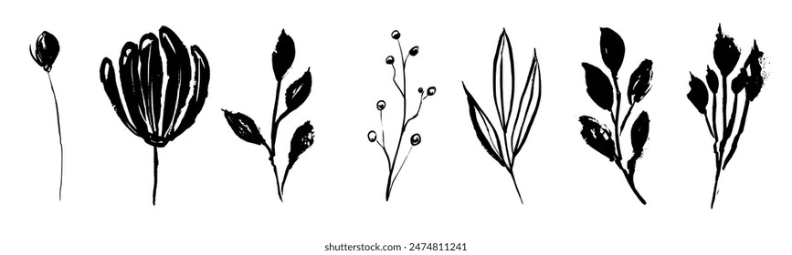 Set of retro branches and leaves. Silhouettes of hand drawn artistic field herbs in black ink. Vintage botanical florals.