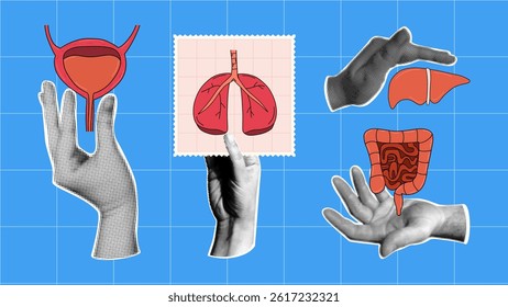 Set of retro collage elements with halftone hands and human organs with bladder, lungs, liver, and intestines. Anatomical and medical graphic elements. 