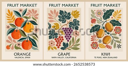 Set of retro Fruit Market posters in Mid Century Modern style featuring kiwi from Te Puke, oranges from Valencia, and grapes from Napa Valley. Vintage colorful wall art designs