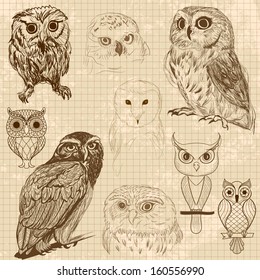 Set of retro owl sketches