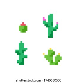 Juego de cactus de arte de píxeles retro para el diseño de nivel de juego