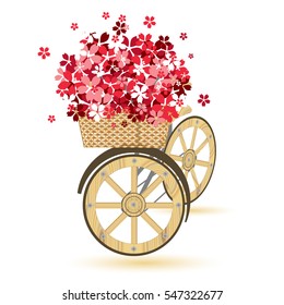 Set of retro wooden bicycle with basket winker  full sakura blossom. vector illustration