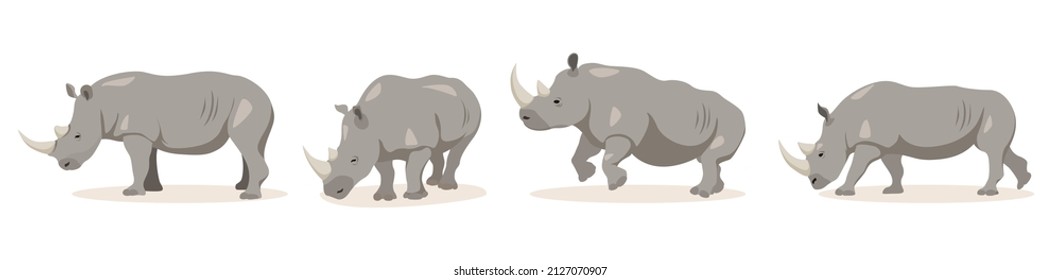 Set of rhinoceros in different angles and emotions in cartoon style. Vector illustration of herbivorous African animals isolated on white background.