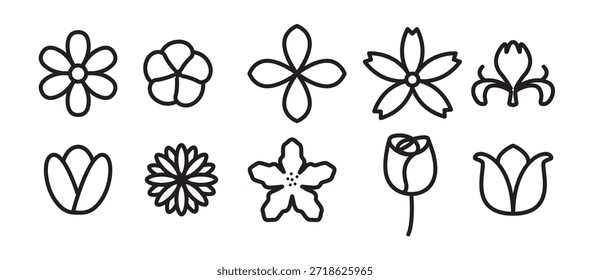 set of Rhododendron vector illustration