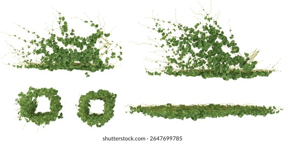 Set of Rhynchosia creeper plants isolated on transparent background from the top view