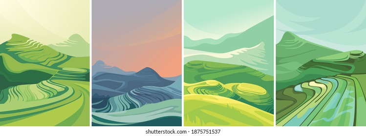 Set of rice terraces in vertical orientation. Beautiful agricultural sceneries.