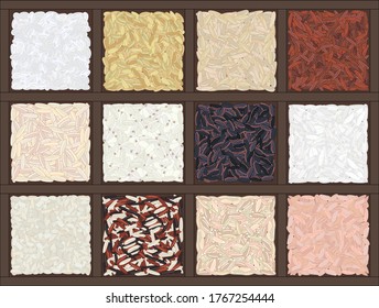 Set of rice in a wooden box. Sushi, brown, parboiled, jasmine, red, arborio, wild, basmati, rosematta. Organic healthy food. Vegan and vegetarian poster. Hand drawn vector illustration